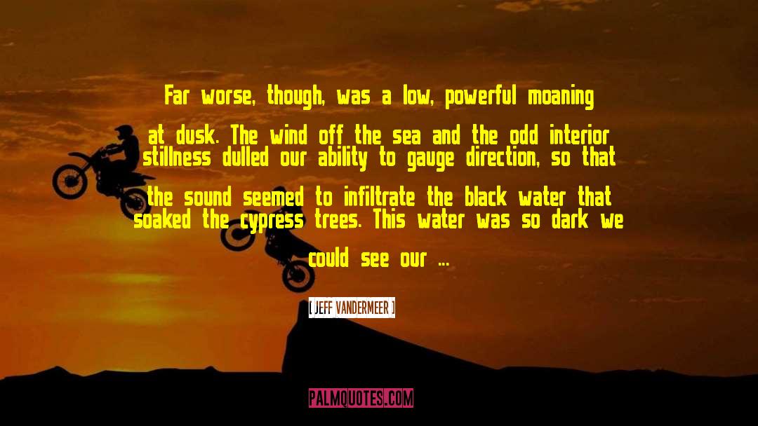 Edge Of Dark Water quotes by Jeff VanderMeer