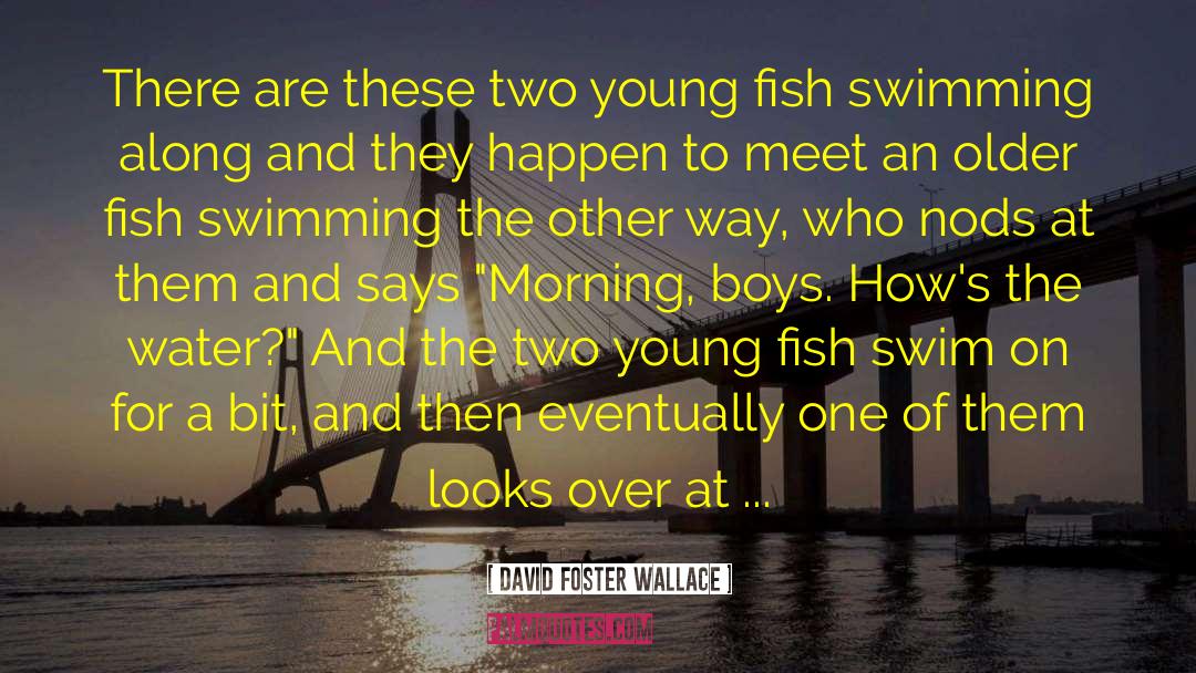 Edgeless Swimming quotes by David Foster Wallace
