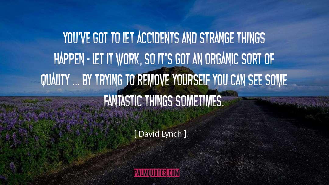 Edgeworth David quotes by David Lynch