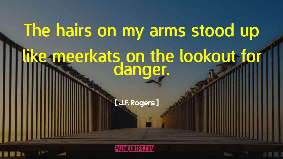 Edgy Christian Fiction quotes by J.F. Rogers