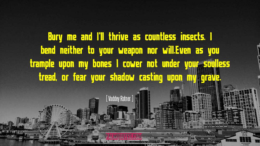 Edible Insects quotes by Vaddey Ratner