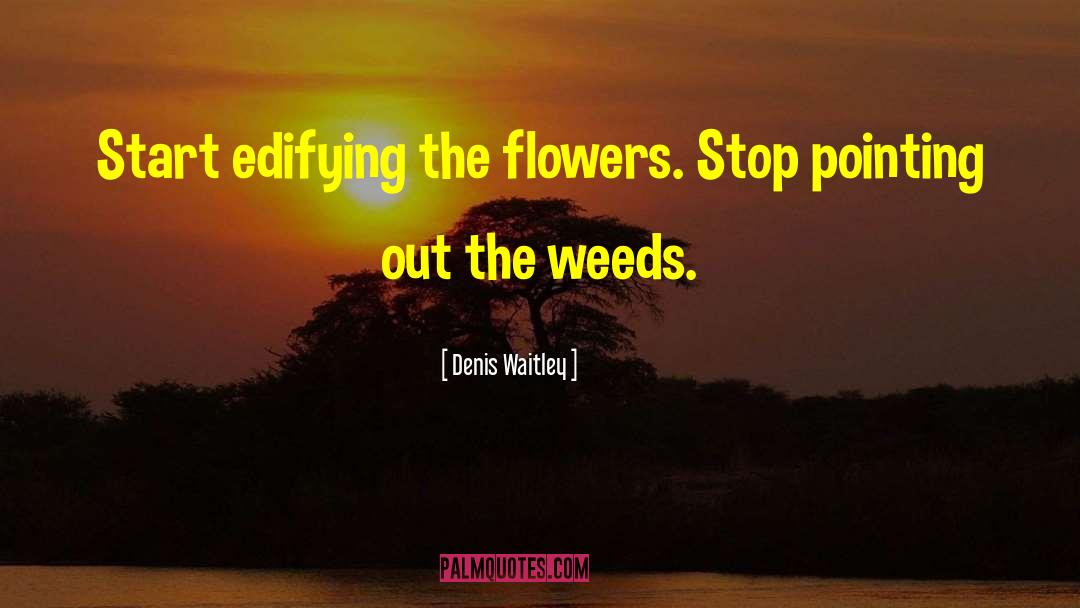 Edifying quotes by Denis Waitley