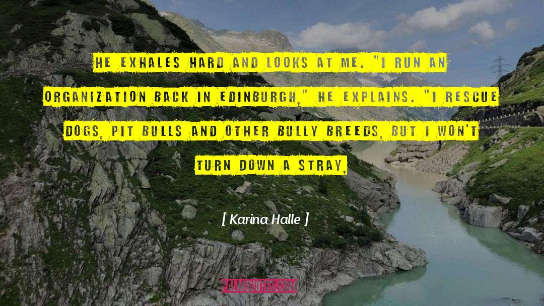 Edinburgh quotes by Karina Halle