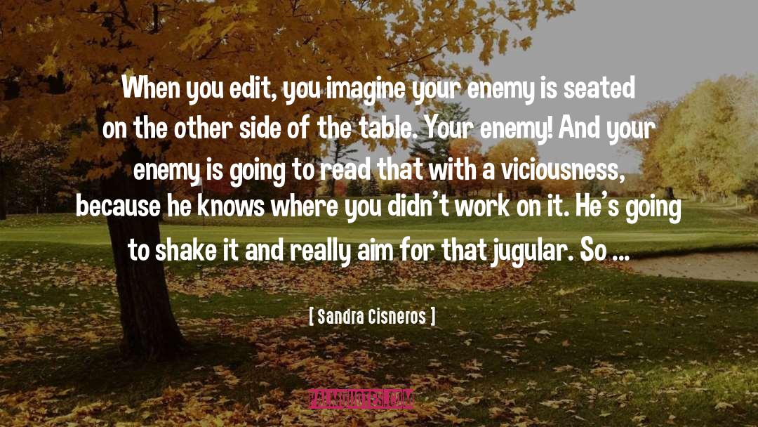 Edits quotes by Sandra Cisneros
