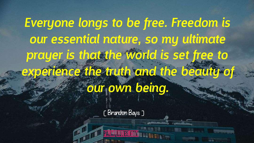 Education And Freedom quotes by Brandon Bays