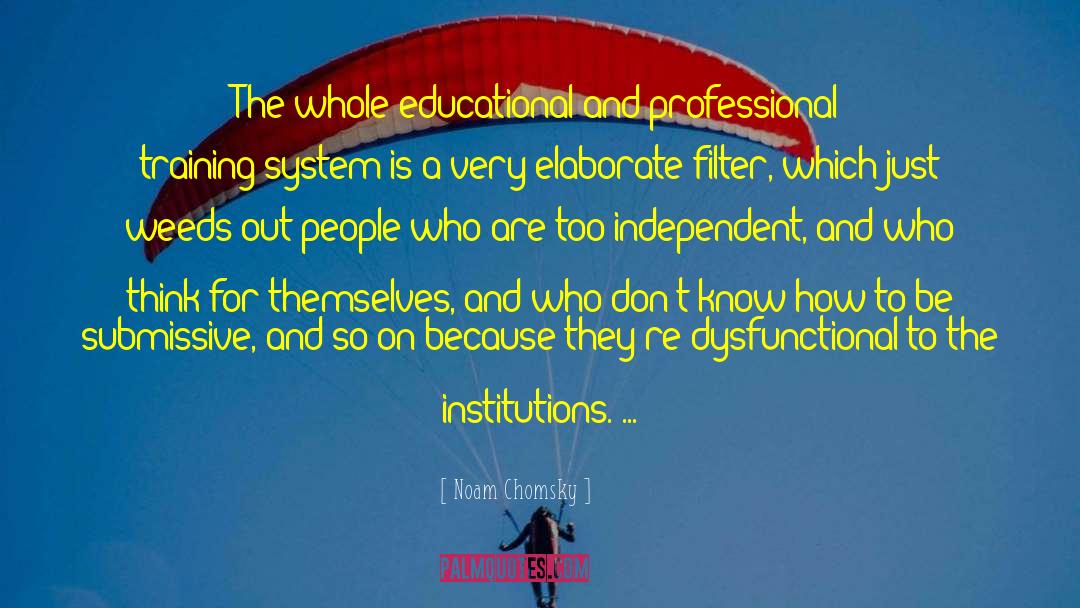 Education System quotes by Noam Chomsky