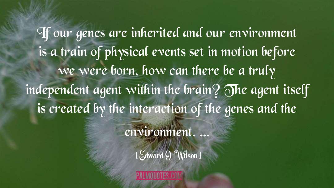 Edward O Wilson quotes by Edward O. Wilson