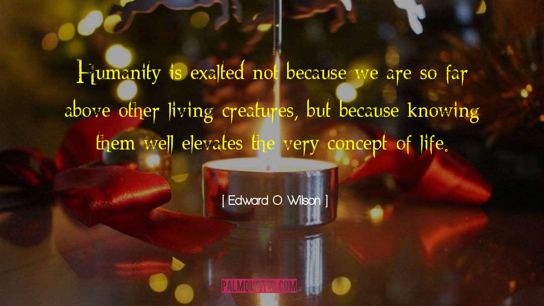 Edward O Wilson quotes by Edward O. Wilson