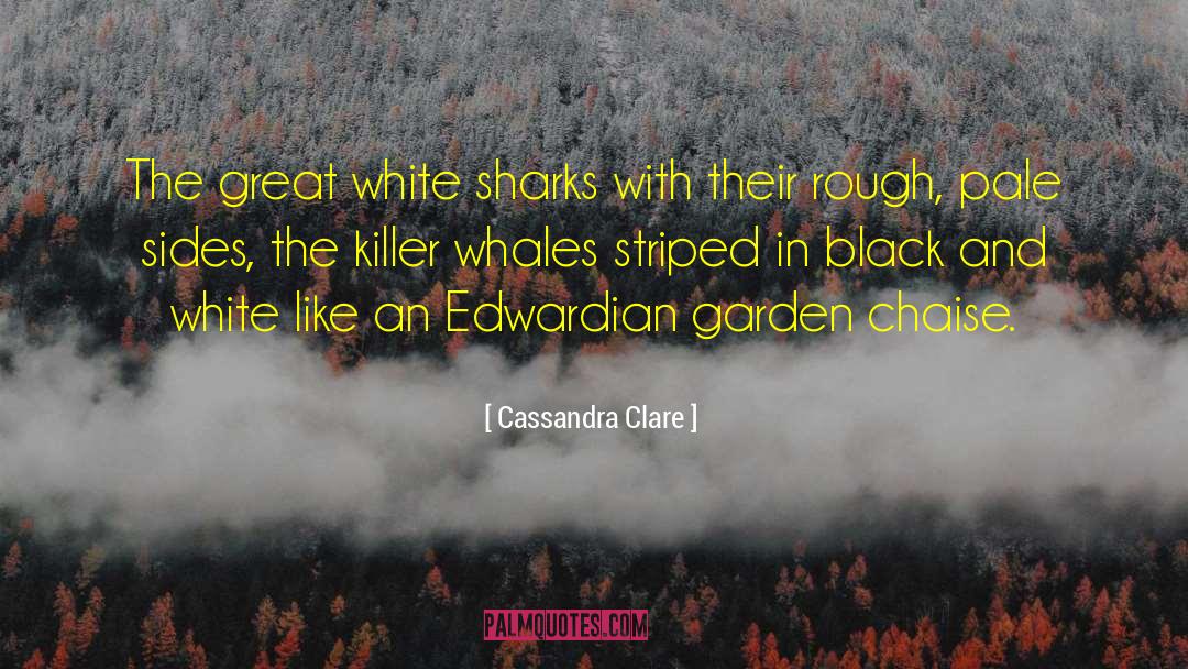 Edwardian quotes by Cassandra Clare