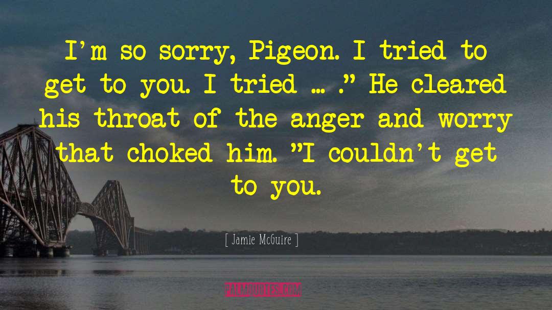 Effect Of Anger quotes by Jamie McGuire