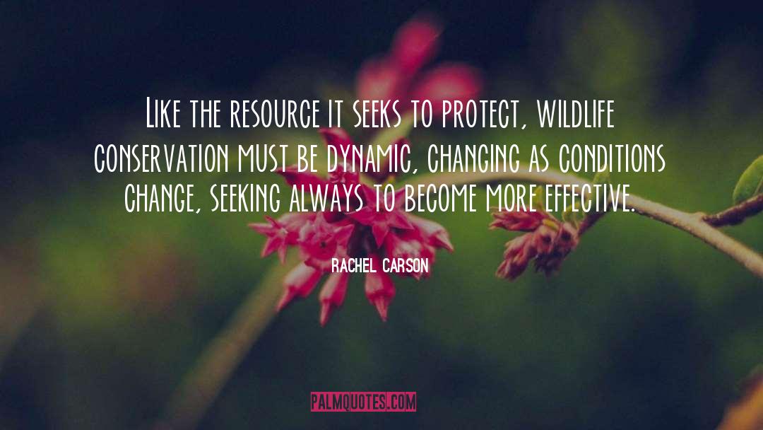 Effective Leadership quotes by Rachel Carson