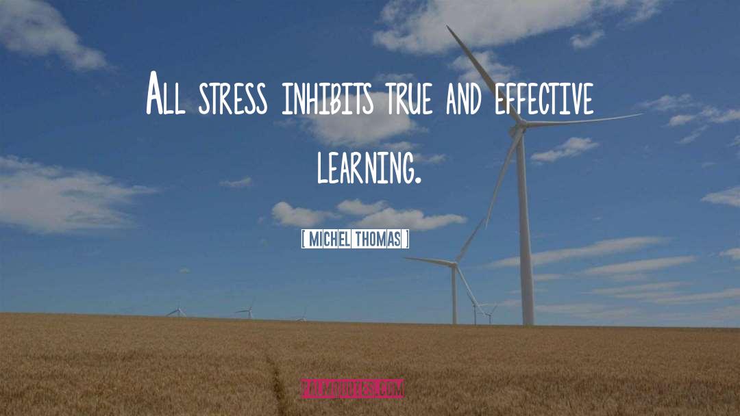 Effective Learning quotes by Michel Thomas