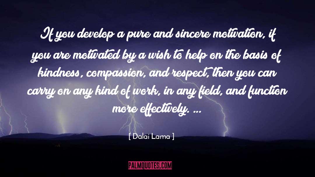 Effectiveness And Attitude quotes by Dalai Lama