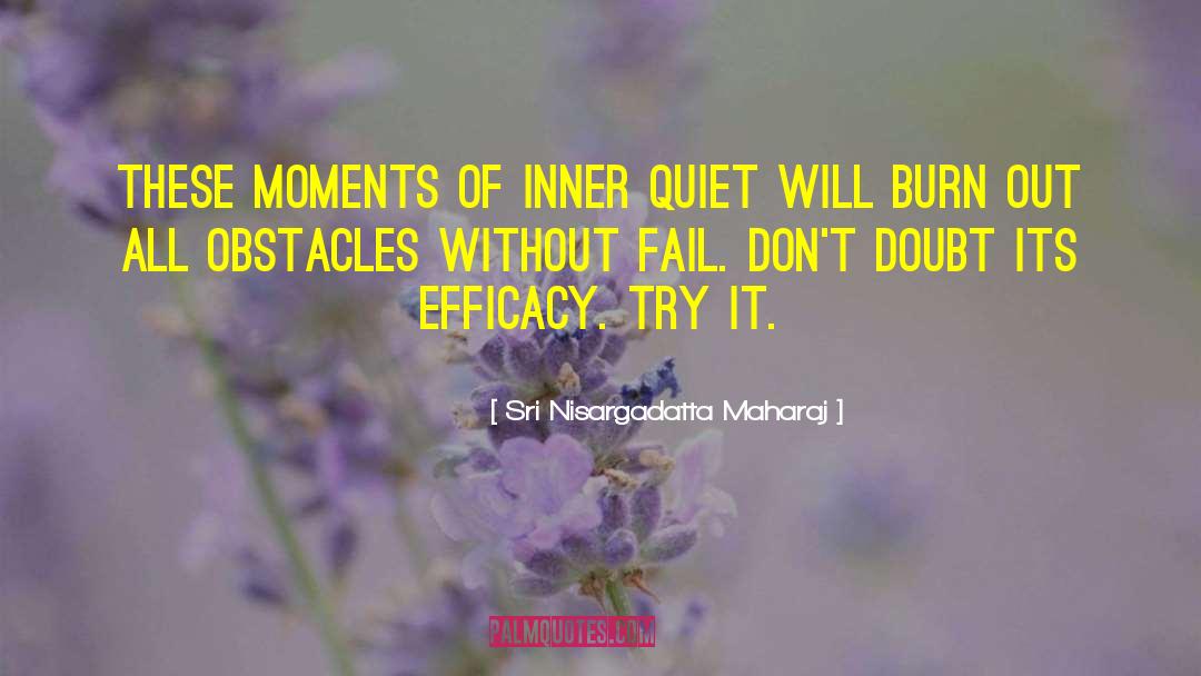 Efficacy quotes by Sri Nisargadatta Maharaj