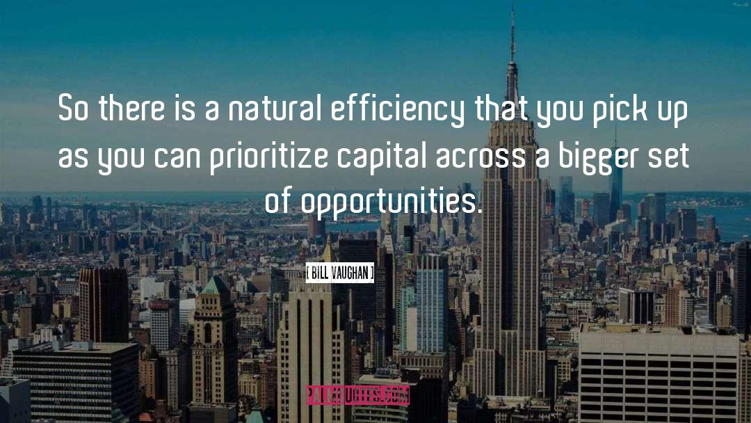 Efficiency quotes by Bill Vaughan