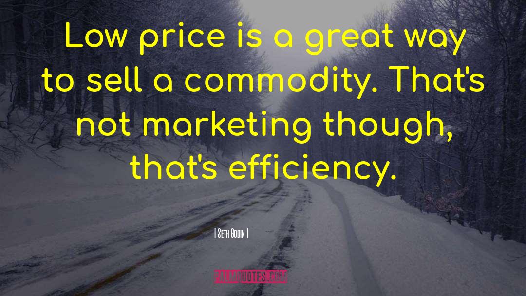 Efficiency quotes by Seth Godin