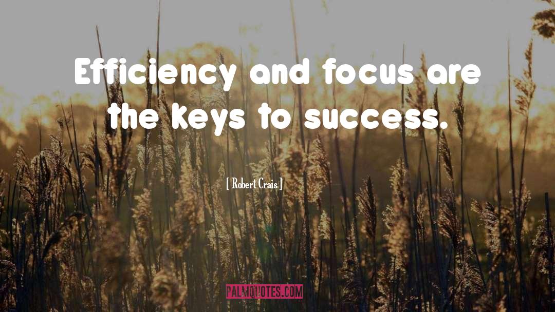 Efficiency quotes by Robert Crais