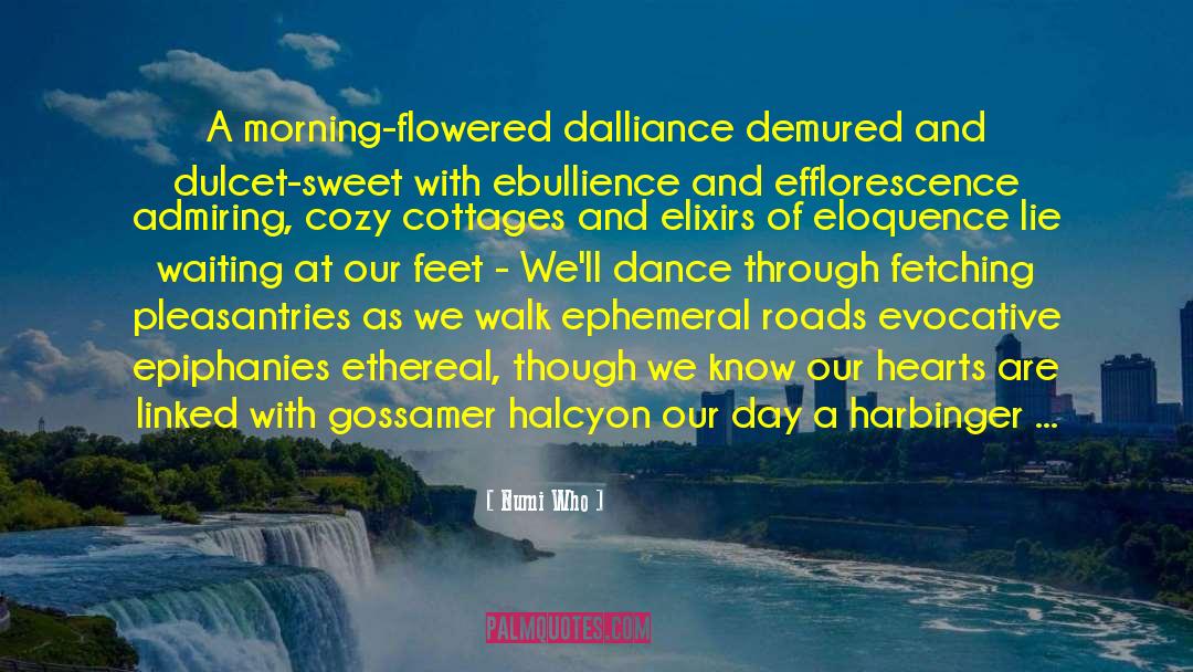 Efflorescence quotes by Numi Who