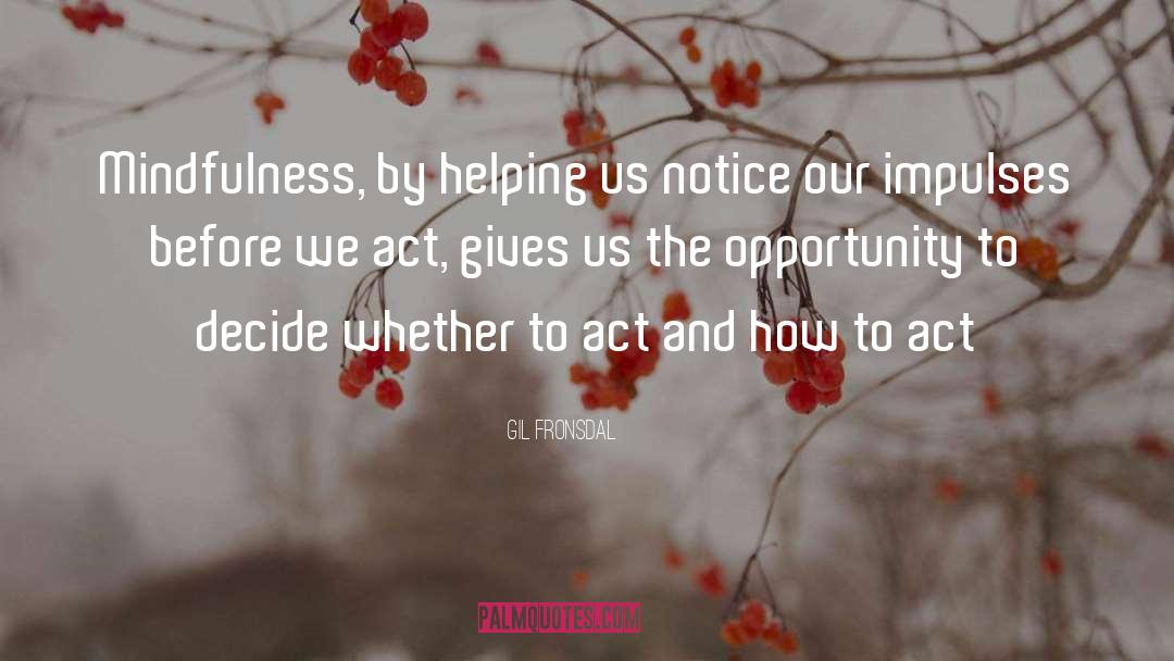 Effortless Mindfulness quotes by Gil Fronsdal