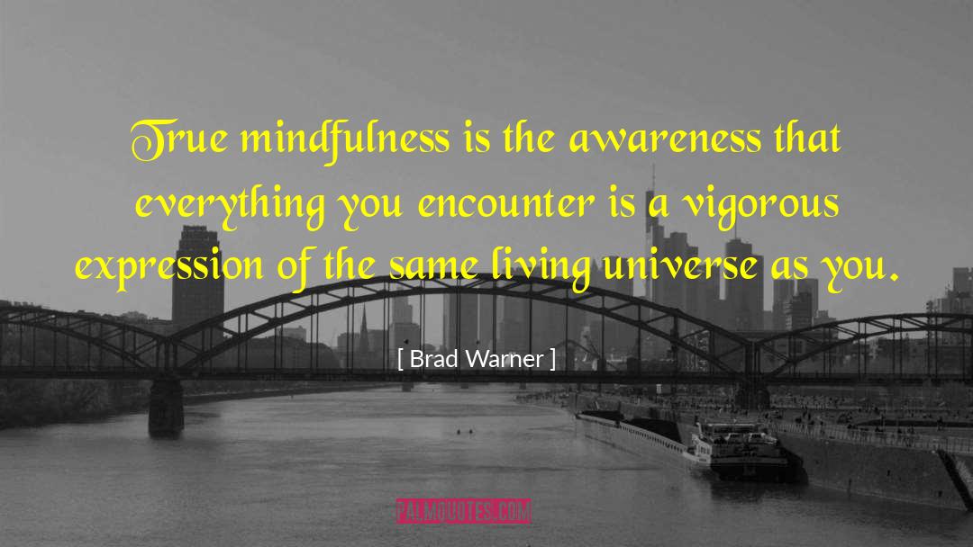 Effortless Mindfulness quotes by Brad Warner
