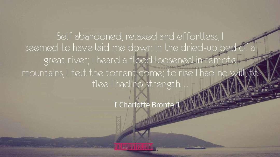 Effortless Mindfulness quotes by Charlotte Bronte