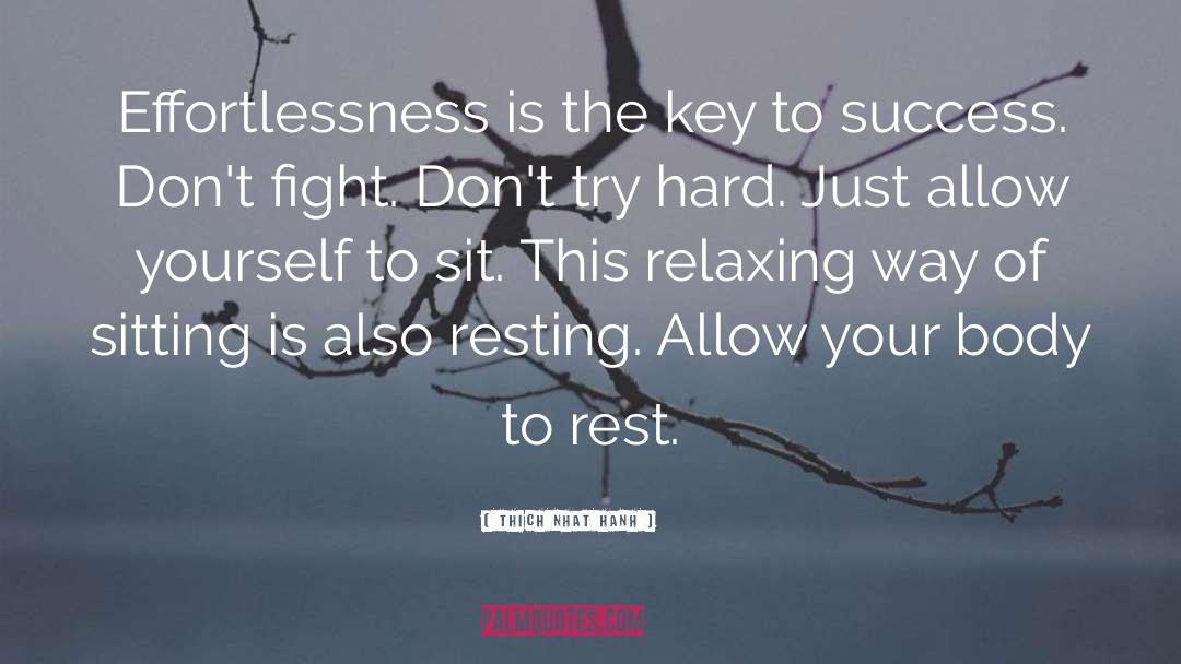 Effortlessness quotes by Thich Nhat Hanh