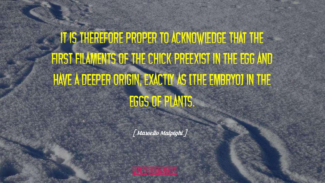 Egg quotes by Marcello Malpighi