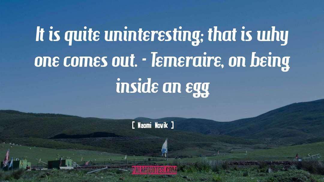 Egg quotes by Naomi Novik