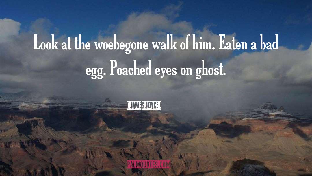 Egg Rolls quotes by James Joyce