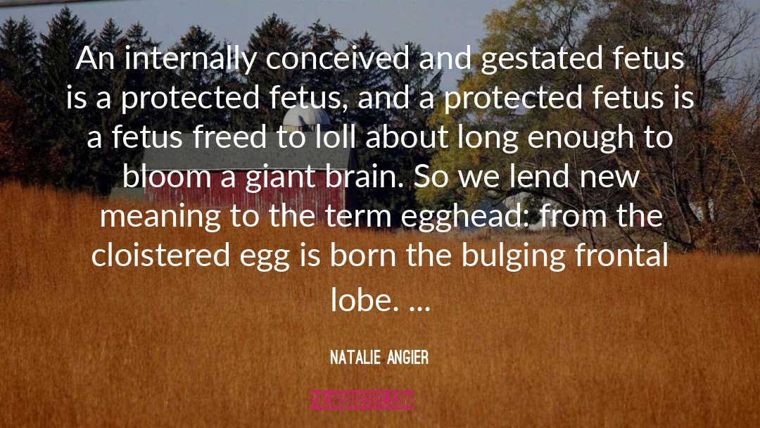 Egghead quotes by Natalie Angier