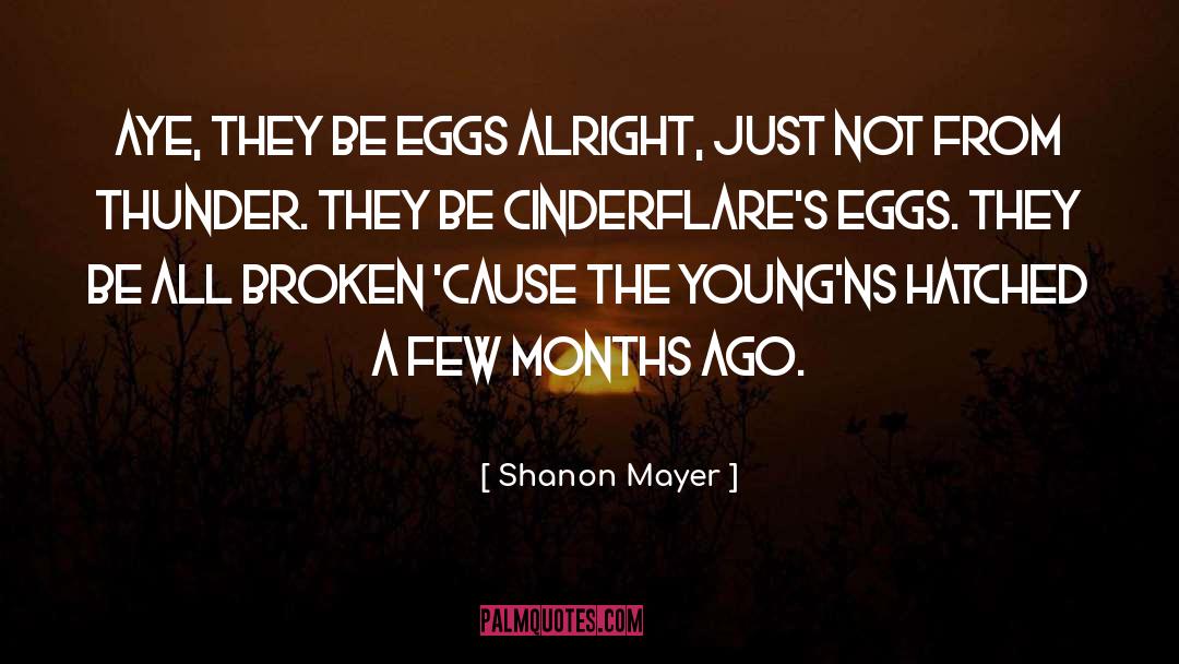 Eggs quotes by Shanon Mayer