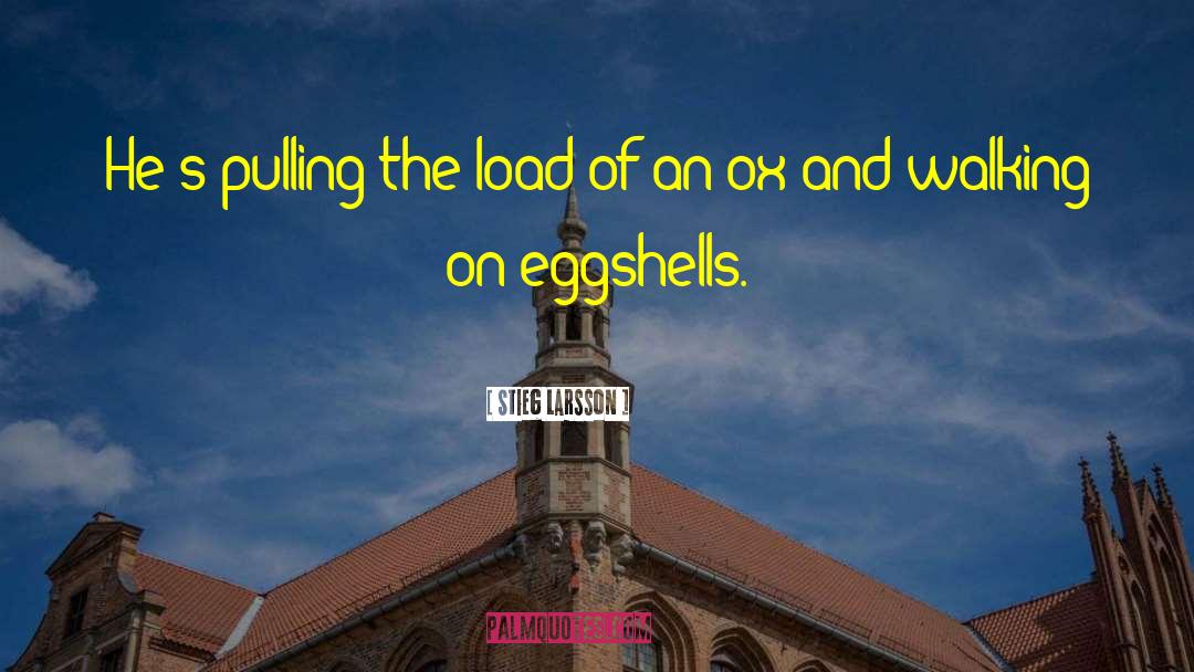 Eggshells quotes by Stieg Larsson