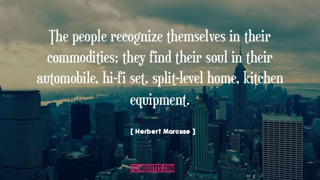 Egler Equipment quotes by Herbert Marcuse