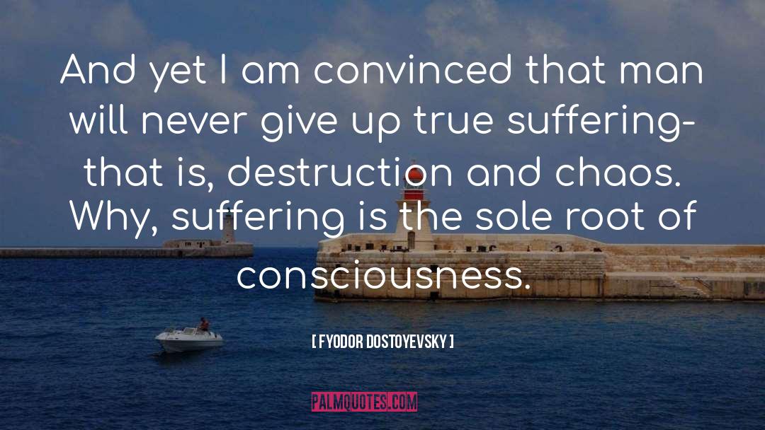 Ego Consciousness quotes by Fyodor Dostoyevsky