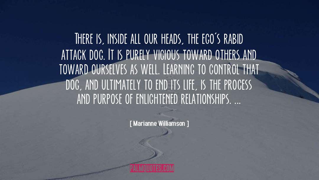 Ego Is The Enemy quotes by Marianne Williamson