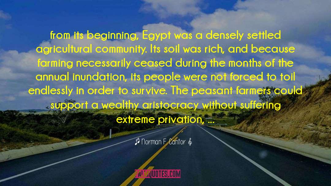 Egyptian Civilization quotes by Norman F. Cantor