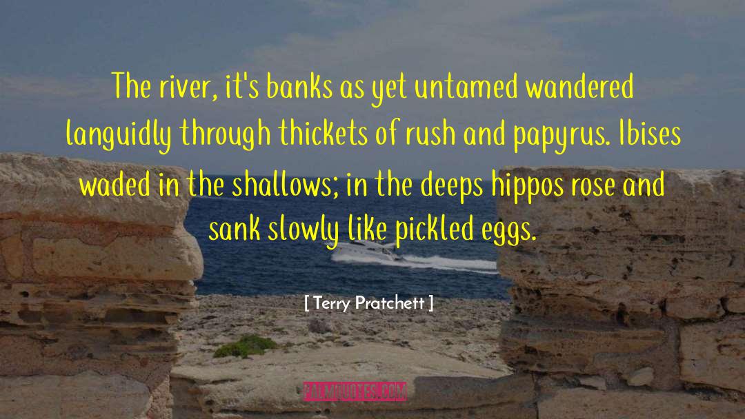 Egyptian Pyramids quotes by Terry Pratchett