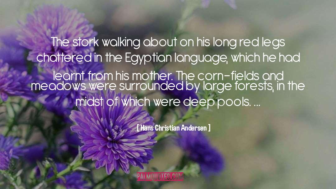 Egyptian Steamnpunk quotes by Hans Christian Andersen