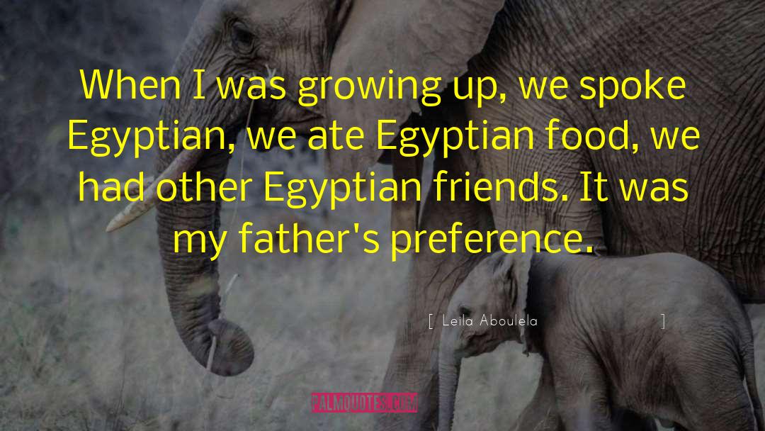 Egyptian Steampunk quotes by Leila Aboulela