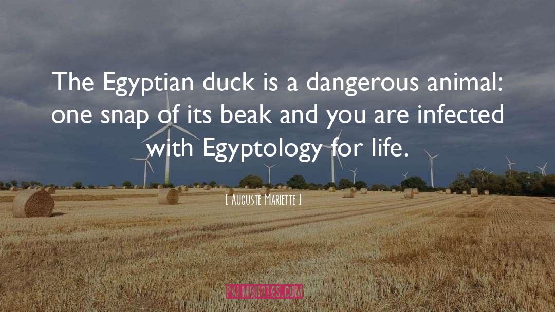 Egyptology quotes by Auguste Mariette