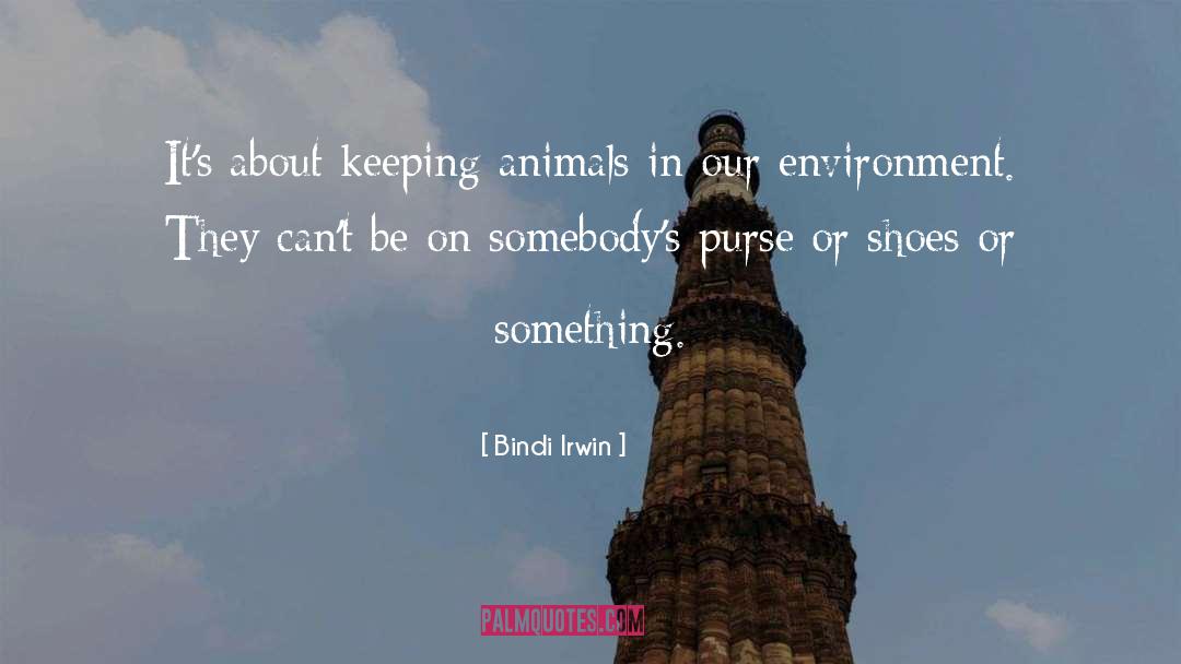 Ehinger Shoes quotes by Bindi Irwin