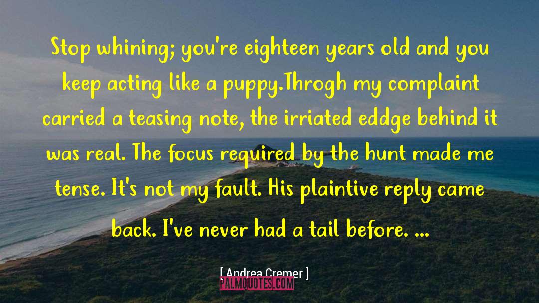 Eighteen Years Old quotes by Andrea Cremer