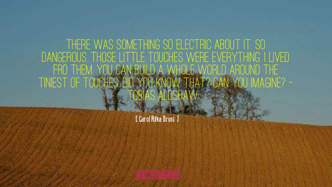 Eilertson Electric quotes by Carol Rifka Brunt