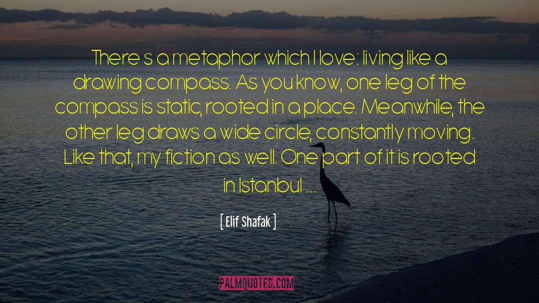 Einstein In Fiction quotes by Elif Shafak