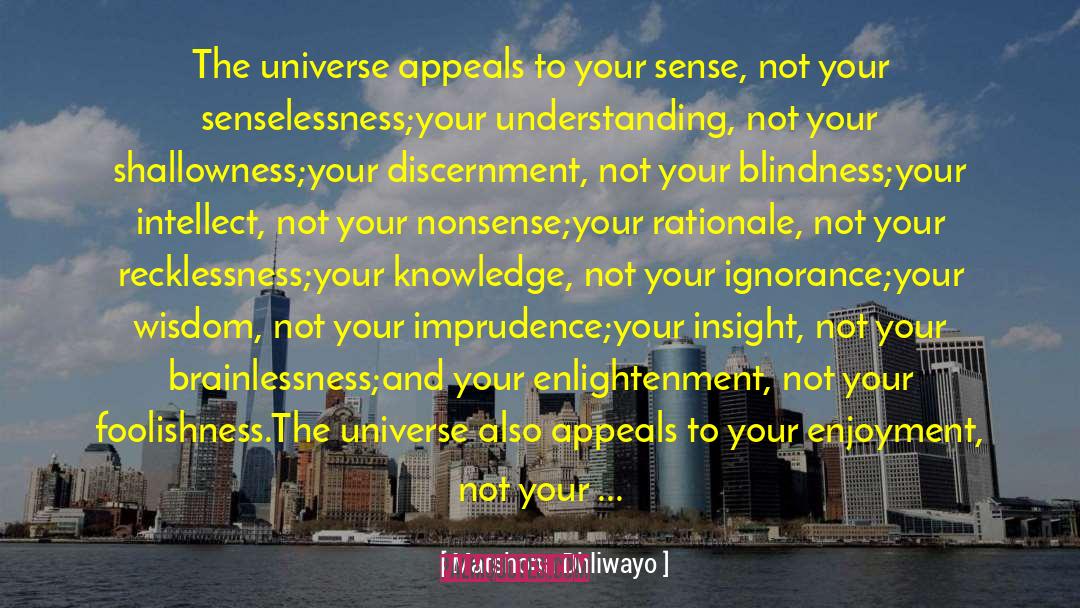 Einsteinian Universe quotes by Matshona Dhliwayo