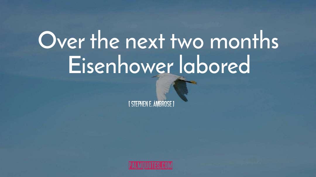 Eisenhower quotes by Stephen E. Ambrose