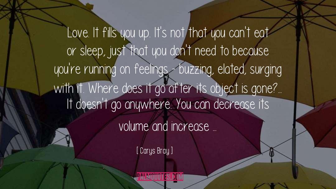 Elated quotes by Carys Bray