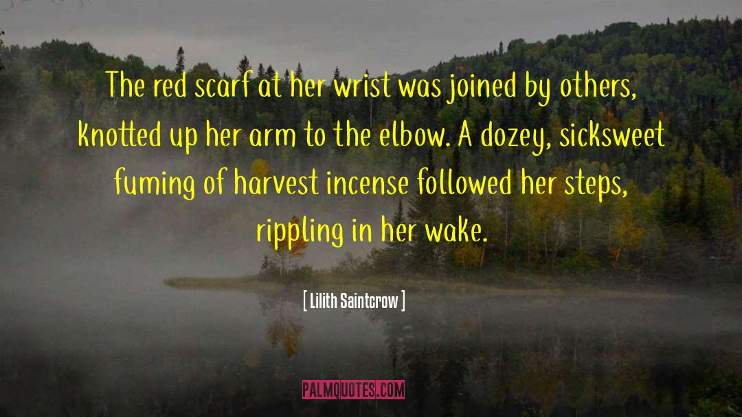 Elbow quotes by Lilith Saintcrow