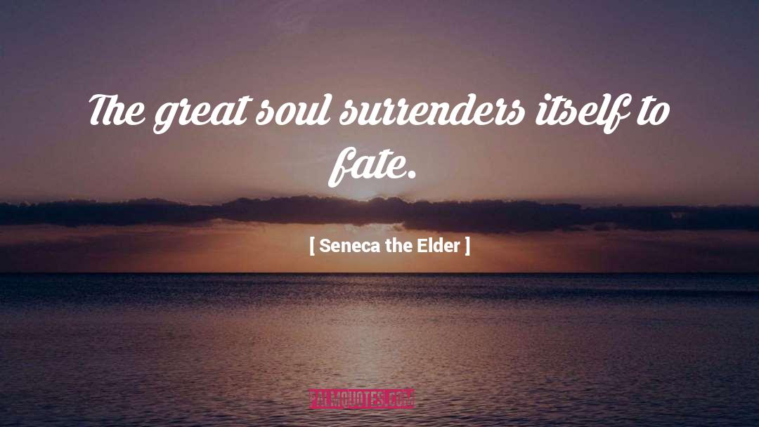 Elder Sophrony quotes by Seneca The Elder