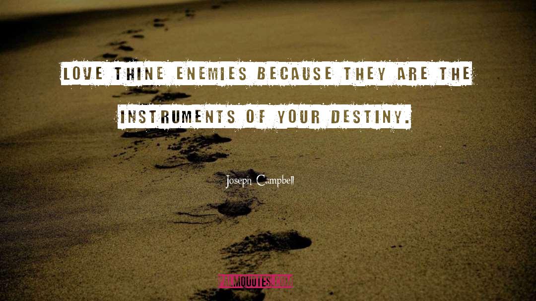 Elderly Love quotes by Joseph Campbell